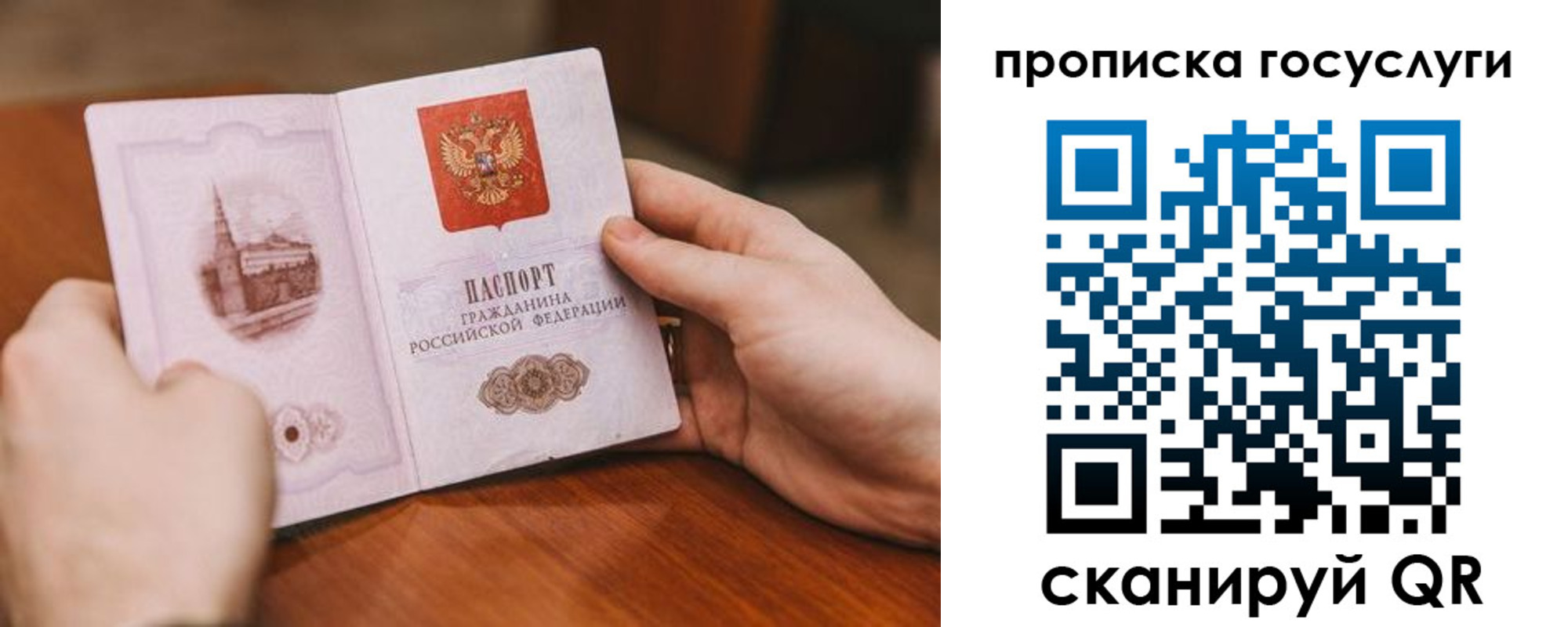 прописка ребенка в Краснозаводске
